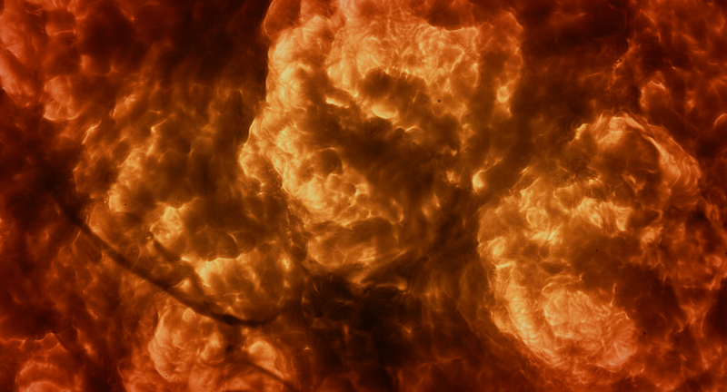 Illustration for article titled Gorgeous Tree of Life stills look like the greatest science epic of all time